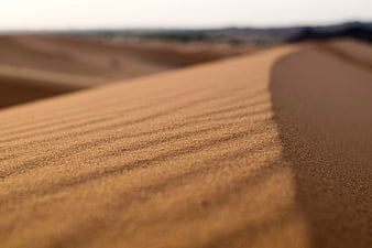 Close-up of rippled sand dunes in a desert landscape