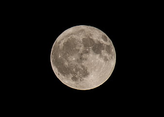 Full Moon Close-Up Against Black Night Sky