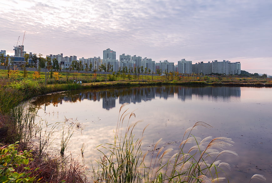 Autumn landscape with silver grass and city skyline reflection
