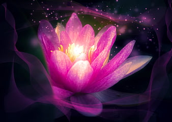 Glowing Pink Lotus Flower With Magical Sparkles And Dark Background