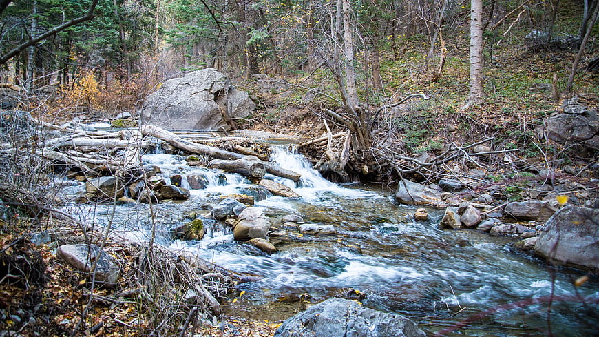 Flowing Forest Stream in Autumn with Rocks and Fallen Logs
