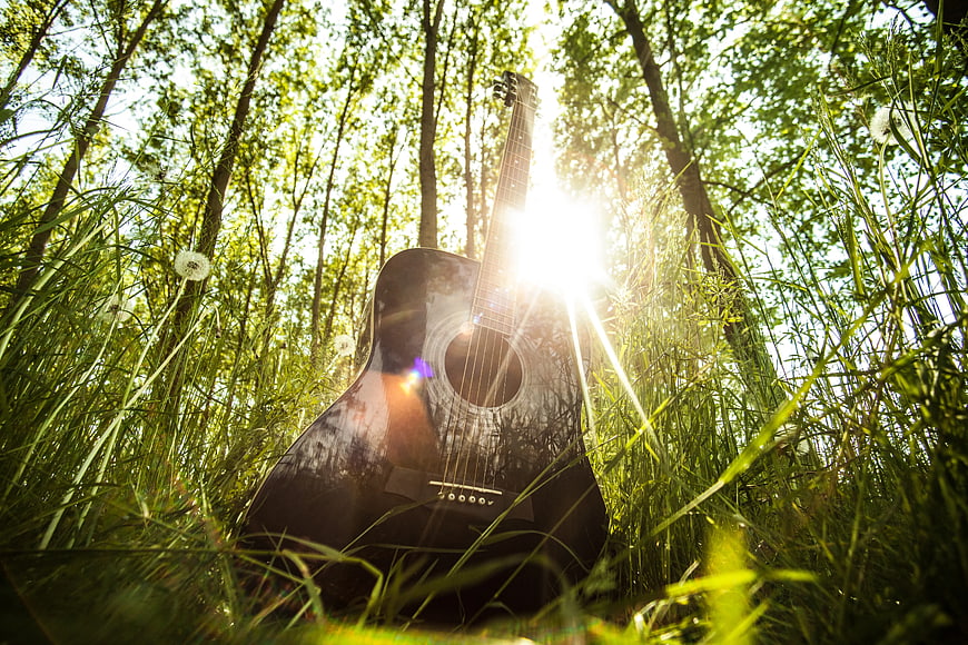 Acoustic Guitar in Sunlit Forest Grass