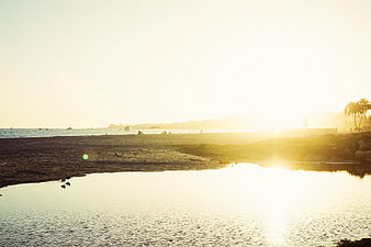 Golden Hour Sunset Over Beach with Birds and Ocean