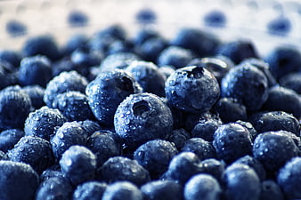 Fresh Blueberries with Water Droplets Close-Up