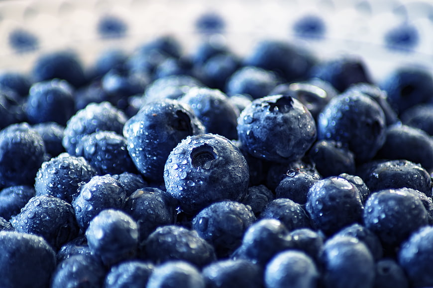 Fresh Blueberries with Water Droplets Close-Up