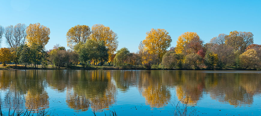 Panoramic autumn landscape with golden trees reflecting in a calm lake