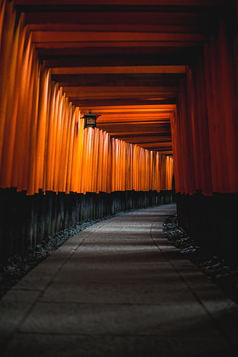 Tunnel of Red Torii Gates at Fushimi Inari Shrine in Kyoto