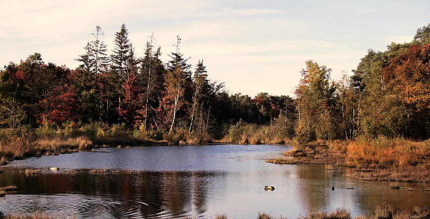 Autumn forest landscape with calm lake and colorful trees