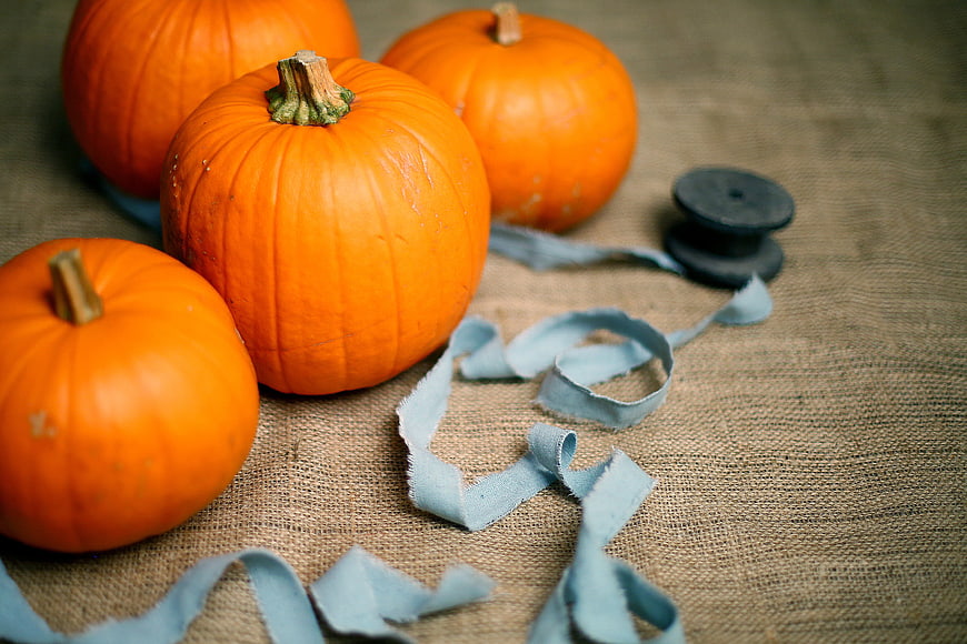 Small orange pumpkins with blue ribbon on burlap background
