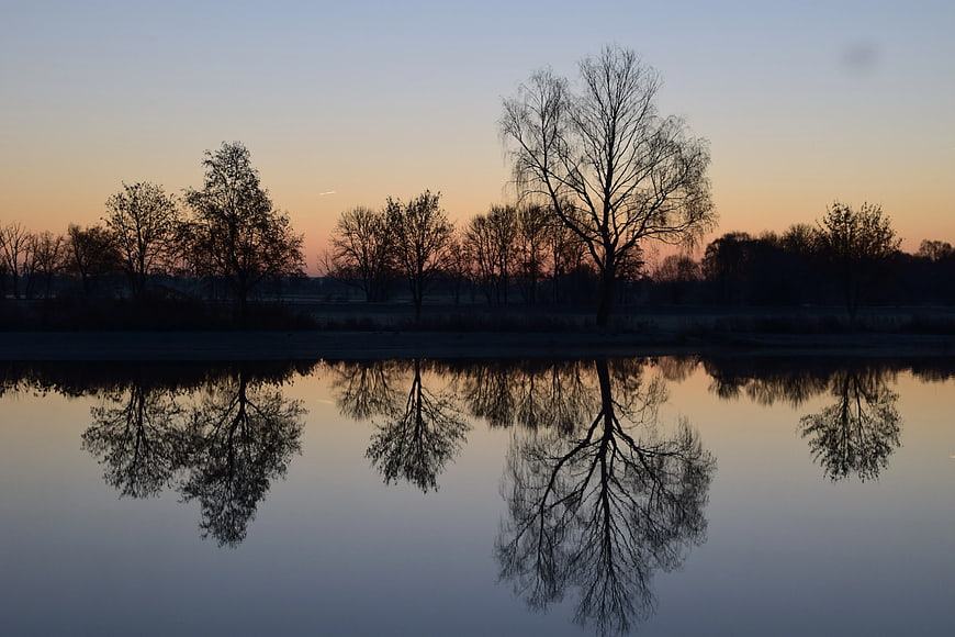 Silhouette of bare trees reflected in calm lake at sunset