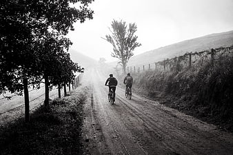 Two Cyclists Riding on Foggy Dirt Road in Black and White
