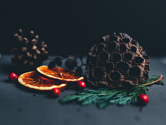 Dark moody dried orange slices, lotus pod, and pine cones on black background