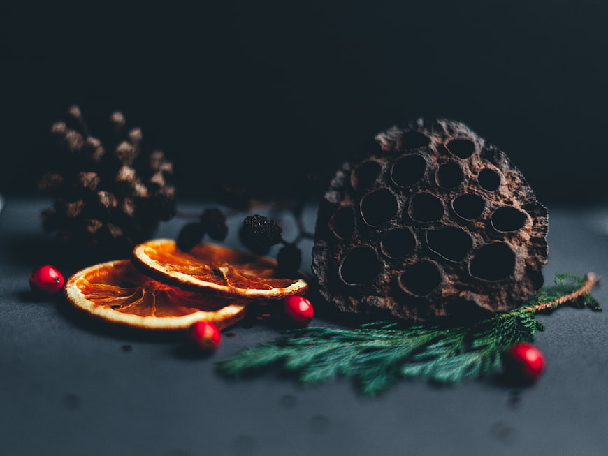 Dark moody dried orange slices, lotus pod, and pine cones on black background