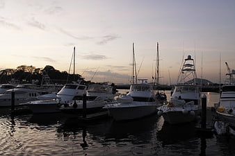 Luxury yachts docked at marina during sunset