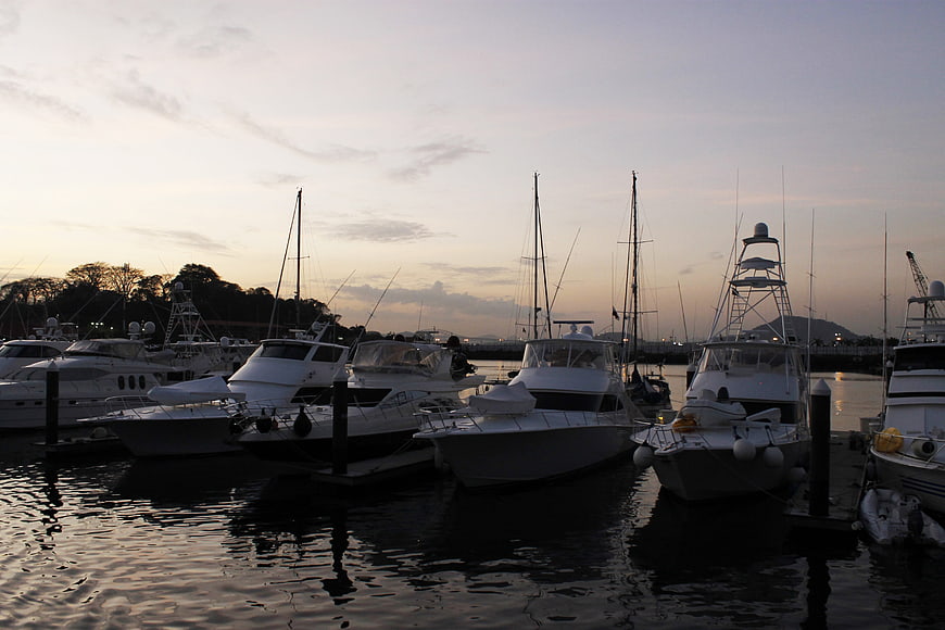 Luxury yachts docked at marina during sunset
