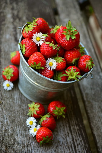 Fresh Ripe Strawberries in a Metal Bucket on Wood