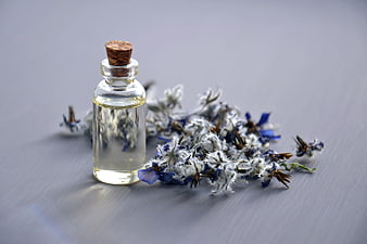 Glass bottle of borage essential oil with dried flowers