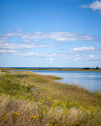 Serene Coastal Landscape with Marsh Grass and Blue Sky