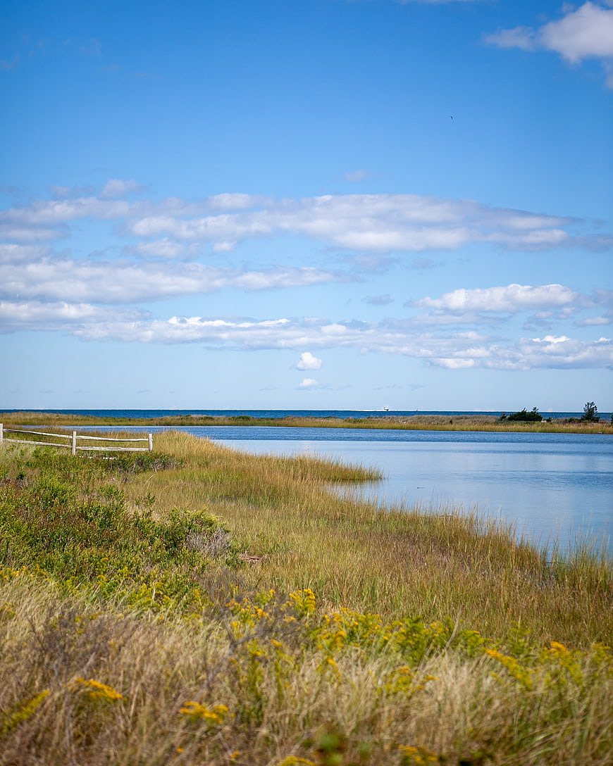 Serene Coastal Landscape with Marsh Grass and Blue Sky