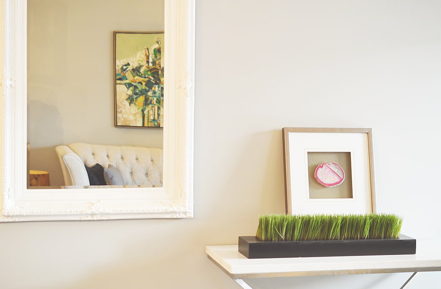 Modern Interior Decor with Mirror and Grass Planter
