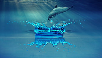 Dolphin Leaping Out of Water Splash Crown