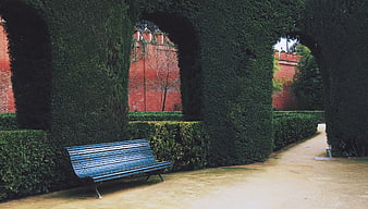 Blue Bench in Garden with Hedge Arches and Red Brick Wall