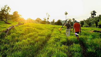Two Men Walking Through Green Pasture at Sunset
