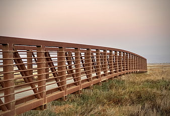 Curved wooden boardwalk bridge in coastal marshland at dusk