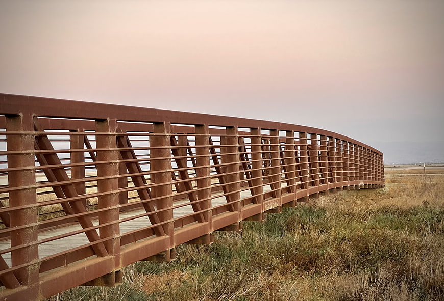 Curved wooden boardwalk bridge in coastal marshland at dusk