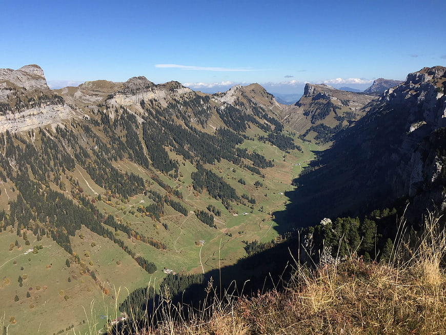 Panoramic Alpine Valley Landscape with Forested Slopes