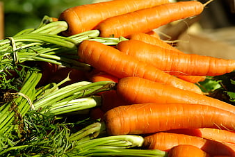 Fresh Organic Carrots With Green Tops In A Market Basket