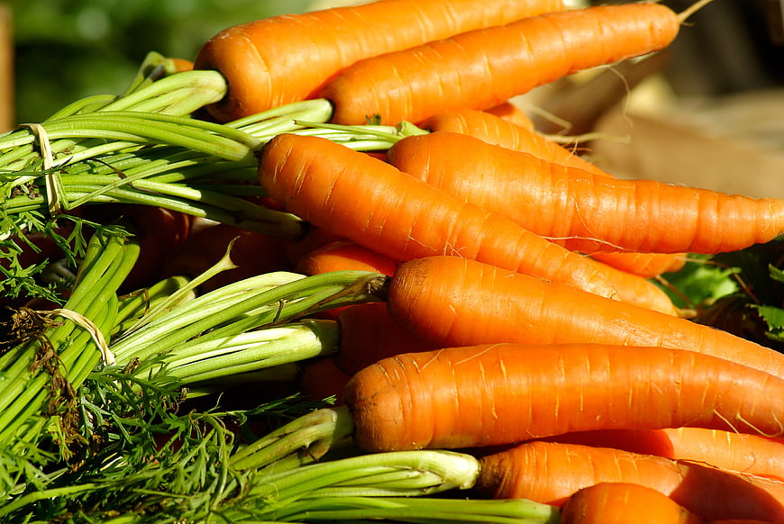 Fresh Organic Carrots With Green Tops In A Market Basket