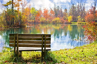 Wooden Bench by Lake in Autumn Forest