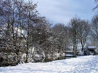 Snowy Winter Landscape with Frozen River and Bare Trees