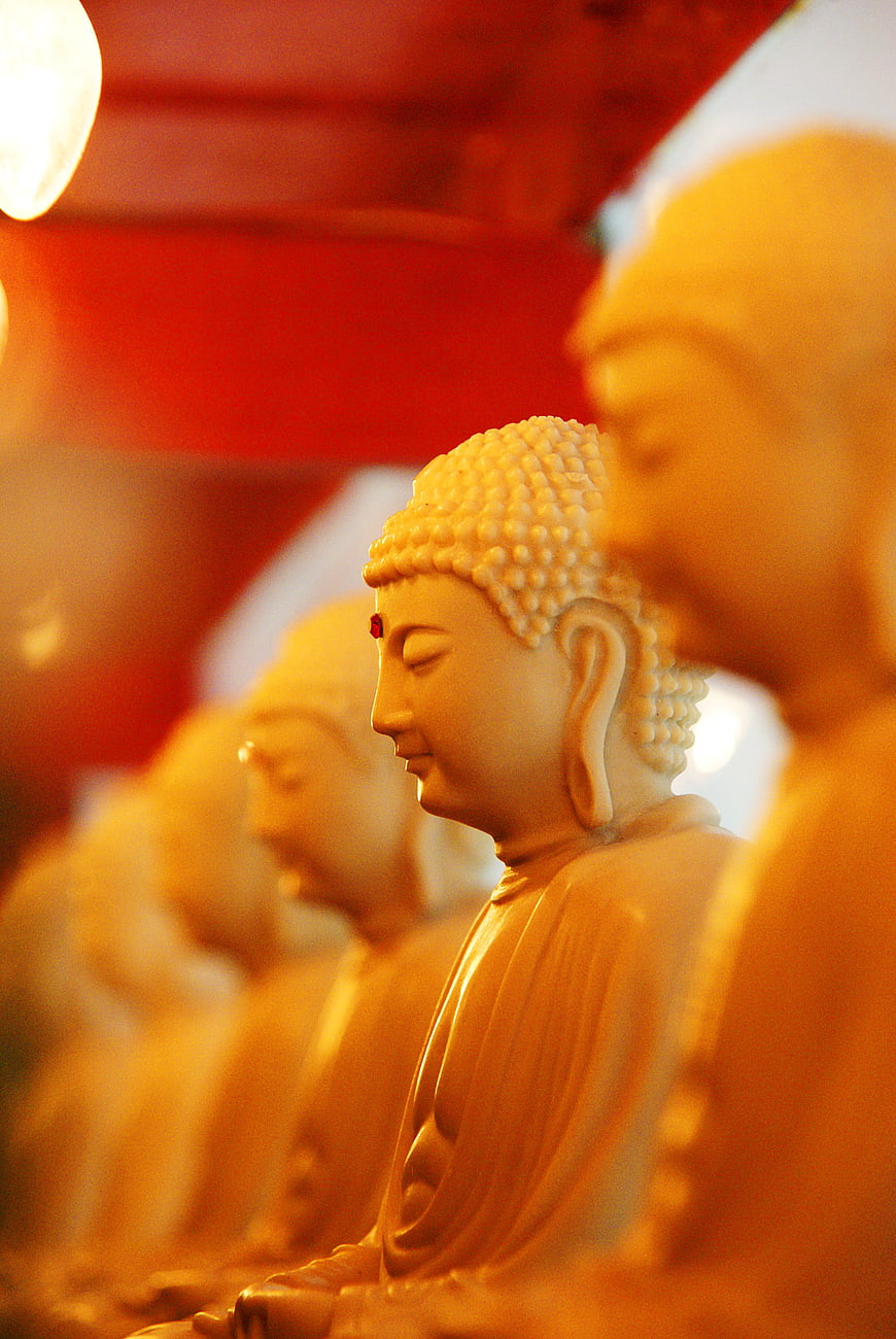Row of Golden Buddha Statues in Meditation