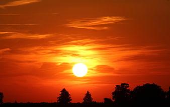 Vibrant orange sunset with bright sun over silhouetted trees