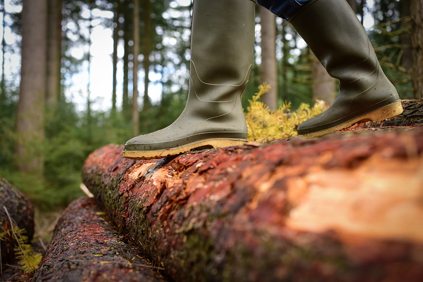 Green rubber boots walking on a log in the forest