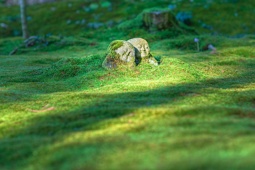 Moss-covered Jizo statue in a serene Japanese garden