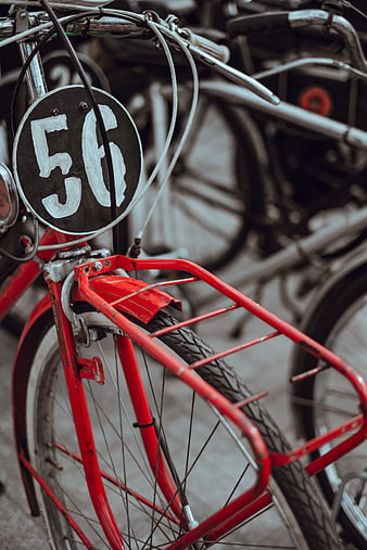 Close-up of vintage red bicycle with number 56 plate
