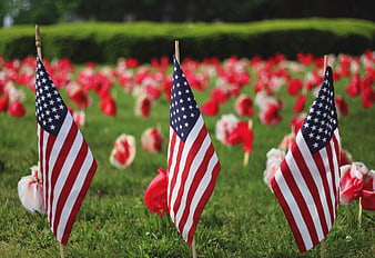 American flags and red poppies on a memorial day cemetery lawn