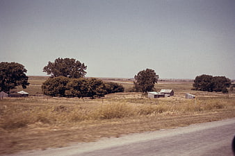 Vintage Film Photograph of Rustic Countryside Barns and Trees