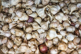 Pile of fresh garlic bulbs and red onions at market