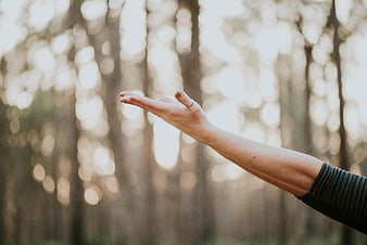 Woman's hand reaching out in sunlit forest with bokeh background