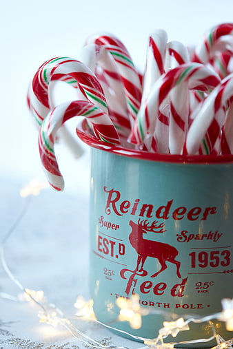 Candy Canes in Vintage Reindeer Feed Tin with Christmas Lights
