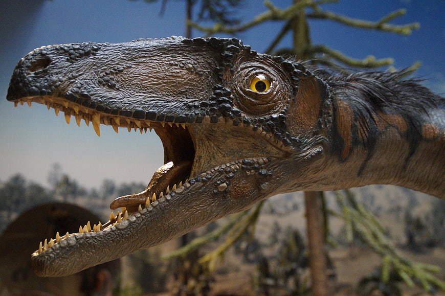 Close-up of a realistic dinosaur replica head with open jaws