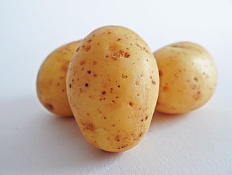 Three raw yellow potatoes on a white background