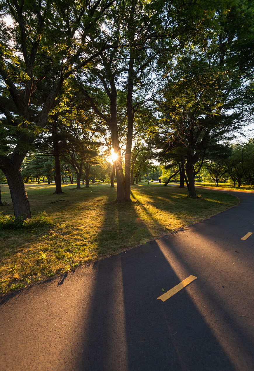 Sunset Sunbeams Through Trees on Park Path