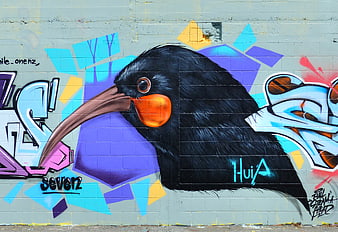 Colorful Tui Bird Graffiti Mural on Urban Brick Wall