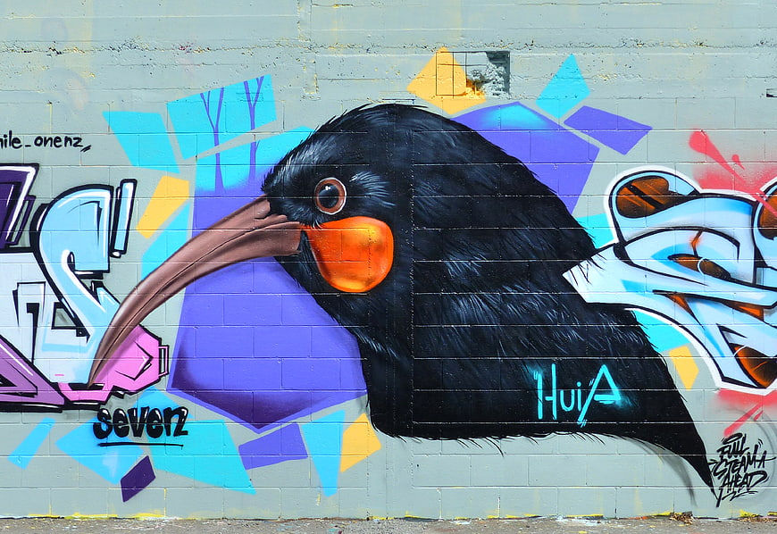 Colorful Tui Bird Graffiti Mural on Urban Brick Wall