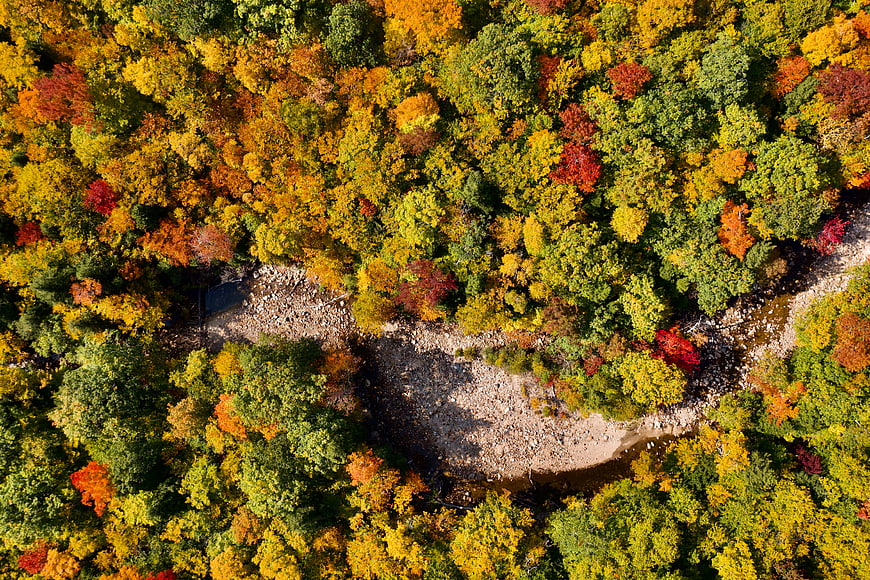 Aerial View of Colorful Autumn Forest with Winding River